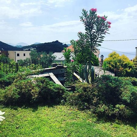 Apartments Medin Danilo Petrovac ภายนอก รูปภาพ